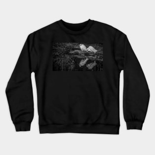 Little Egrets Reflecting In The Pond Crewneck Sweatshirt